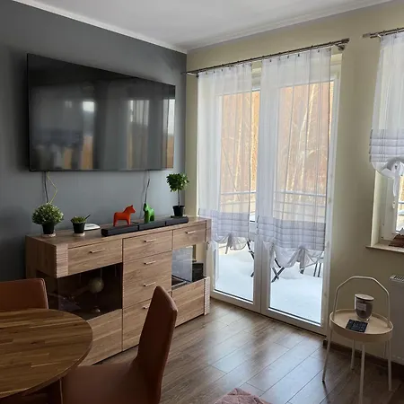 Sosna Świeradów-Zdrój