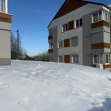 Sosna * Świeradów-Zdrój