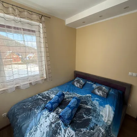 Sosna * Świeradów-Zdrój