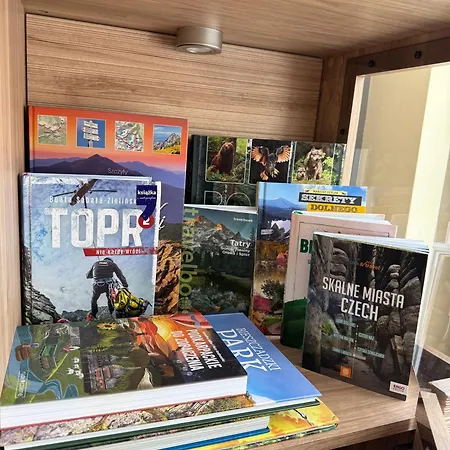 Sosna * Świeradów-Zdrój