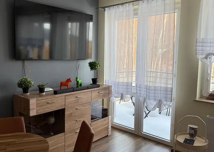 Sosna Świeradów-Zdrój