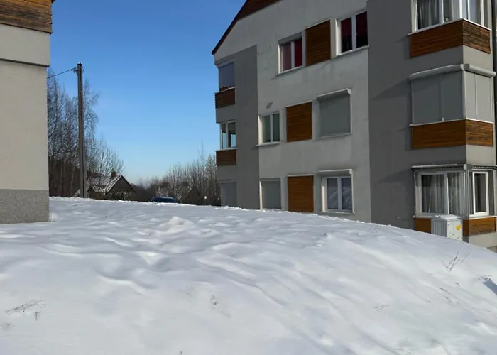 Sosna * Świeradów-Zdrój