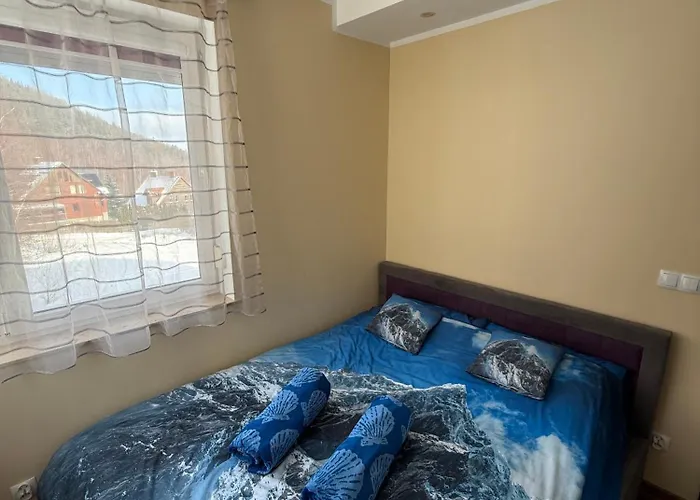 Sosna * Świeradów-Zdrój